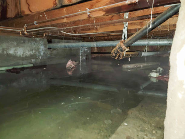 Best Water damage restoration mold remediation  in Anderson, SC