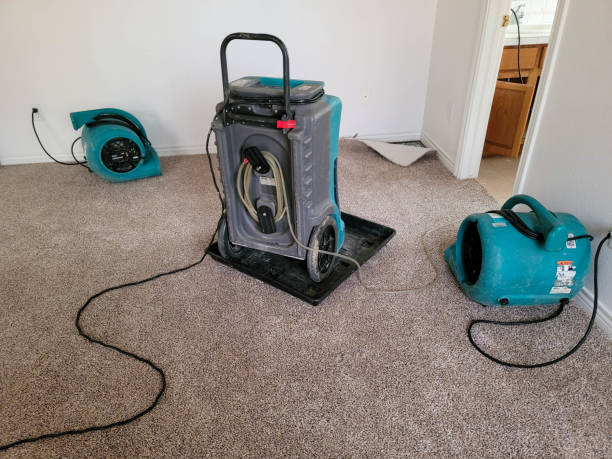 Best Professional water damage repair  in Anderson, SC