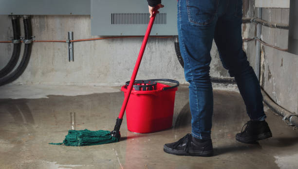 Best Water damage restoration insurance claims  in Anderson, SC