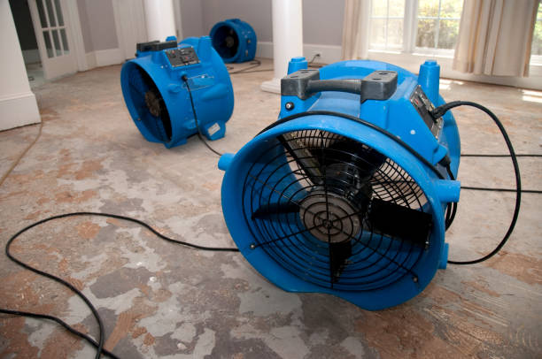 Best Flooded house restoration  in Anderson, SC