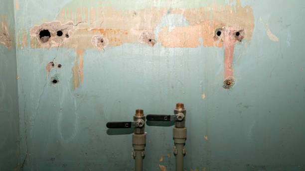 Best Fire Damage Restoration  in Anderson, SC