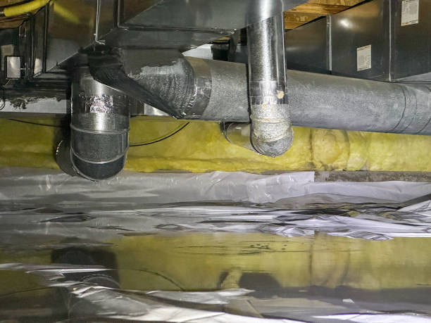 Best Local water damage restoration  in Anderson, SC
