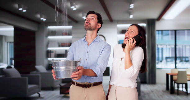 Best Sewage cleanup and water damage restoration  in Anderson, SC
