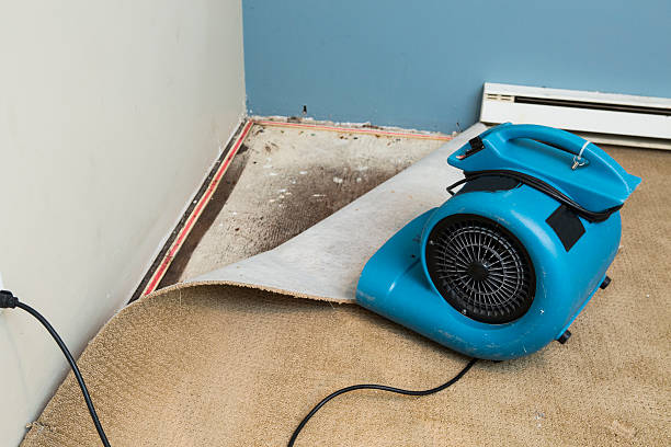 Best Basement water damage restoration  in Anderson, SC